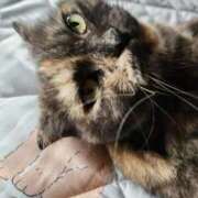 ヒメ日記 2025/09/14 11:26 投稿 花咲ななみ ZERO-i