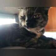 ヒメ日記 2025/09/18 11:56 投稿 花咲ななみ ZERO-i