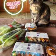 ヒメ日記 2025/09/20 01:09 投稿 花咲ななみ ZERO-i