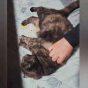 ヒメ日記 2025/09/21 10:04 投稿 花咲ななみ ZERO-i