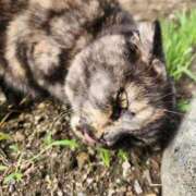 ヒメ日記 2025/09/23 10:06 投稿 花咲ななみ ZERO-i