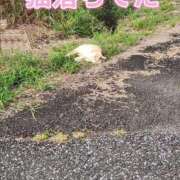 ヒメ日記 2025/09/29 18:01 投稿 花咲ななみ ZERO-i