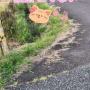 ヒメ日記 2025/10/01 01:36 投稿 花咲ななみ ZERO-i