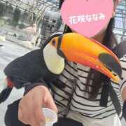 ヒメ日記 2025/10/02 14:26 投稿 花咲ななみ ZERO-i