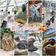 ヒメ日記 2025/10/03 00:36 投稿 花咲ななみ ZERO-i