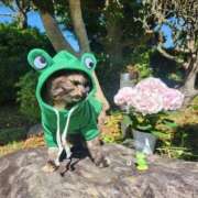 ヒメ日記 2025/10/05 10:16 投稿 花咲ななみ ZERO-i