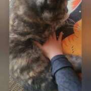 ヒメ日記 2025/10/08 12:46 投稿 花咲ななみ ZERO-i