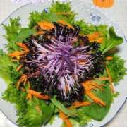 ヒメ日記 2025/10/08 21:29 投稿 花咲ななみ ZERO-i