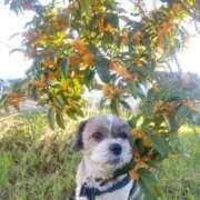 ヒメ日記 2025/10/10 08:06 投稿 花咲ななみ ZERO-i