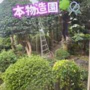 ヒメ日記 2025/10/14 13:46 投稿 花咲ななみ ZERO-i