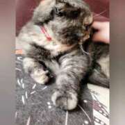 ヒメ日記 2025/10/14 14:26 投稿 花咲ななみ ZERO-i