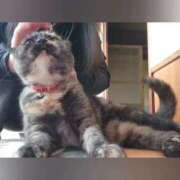 ヒメ日記 2025/10/14 14:56 投稿 花咲ななみ ZERO-i