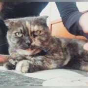 ヒメ日記 2025/10/17 21:25 投稿 花咲ななみ ZERO-i