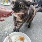 ヒメ日記 2025/10/18 07:46 投稿 花咲ななみ ZERO-i