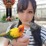 ヒメ日記 2025/10/18 23:16 投稿 花咲ななみ ZERO-i