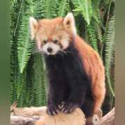 ヒメ日記 2025/10/21 20:36 投稿 花咲ななみ ZERO-i