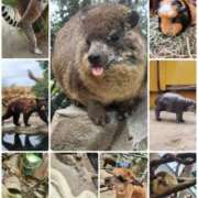 ヒメ日記 2025/10/21 22:46 投稿 花咲ななみ ZERO-i