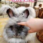 ヒメ日記 2025/10/22 11:20 投稿 花咲ななみ ZERO-i