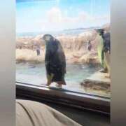 ヒメ日記 2025/10/23 12:56 投稿 花咲ななみ ZERO-i