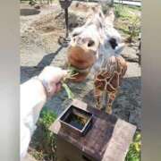 ヒメ日記 2025/10/23 19:36 投稿 花咲ななみ ZERO-i