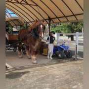 ヒメ日記 2025/10/24 00:07 投稿 花咲ななみ ZERO-i