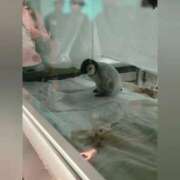 ヒメ日記 2025/10/24 14:56 投稿 花咲ななみ ZERO-i