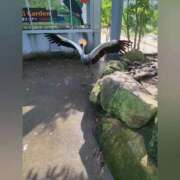 ヒメ日記 2025/10/25 00:16 投稿 花咲ななみ ZERO-i