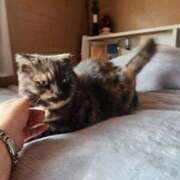 ヒメ日記 2025/10/26 00:36 投稿 花咲ななみ ZERO-i