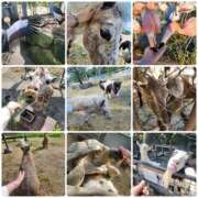 ヒメ日記 2025/10/28 00:26 投稿 花咲ななみ ZERO-i