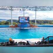 ヒメ日記 2025/10/28 12:07 投稿 花咲ななみ ZERO-i