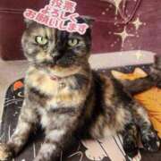 ヒメ日記 2025/10/28 12:36 投稿 花咲ななみ ZERO-i