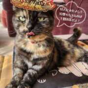 ヒメ日記 2025/10/28 17:26 投稿 花咲ななみ ZERO-i