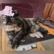 ヒメ日記 2025/10/28 23:26 投稿 花咲ななみ ZERO-i