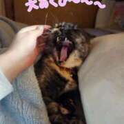 ヒメ日記 2025/10/30 00:35 投稿 花咲ななみ ZERO-i