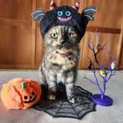 ヒメ日記 2025/10/31 12:46 投稿 花咲ななみ ZERO-i