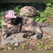 ヒメ日記 2025/11/02 00:16 投稿 花咲ななみ ZERO-i