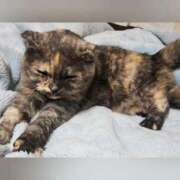 ヒメ日記 2025/11/03 01:46 投稿 花咲ななみ ZERO-i