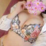 ヒメ日記 2025/11/03 15:06 投稿 花咲ななみ ZERO-i