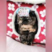 ヒメ日記 2025/11/04 17:06 投稿 花咲ななみ ZERO-i