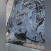 ヒメ日記 2025/11/06 18:16 投稿 花咲ななみ ZERO-i