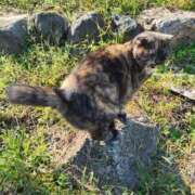 ヒメ日記 2025/11/08 10:16 投稿 花咲ななみ ZERO-i