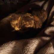 ヒメ日記 2025/11/09 01:36 投稿 花咲ななみ ZERO-i