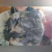 ヒメ日記 2025/11/10 01:06 投稿 花咲ななみ ZERO-i