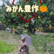 ヒメ日記 2025/11/14 00:36 投稿 花咲ななみ ZERO-i