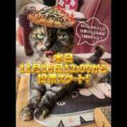 ヒメ日記 2025/11/18 01:36 投稿 花咲ななみ ZERO-i
