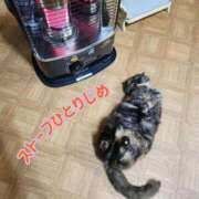 ヒメ日記 2025/11/19 01:26 投稿 花咲ななみ ZERO-i