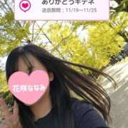 ヒメ日記 2025/11/19 13:26 投稿 花咲ななみ ZERO-i