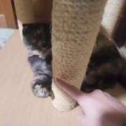 ヒメ日記 2025/11/20 02:46 投稿 花咲ななみ ZERO-i