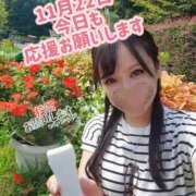 ヒメ日記 2025/11/22 01:16 投稿 花咲ななみ ZERO-i