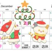 ヒメ日記 2025/11/23 13:29 投稿 花咲ななみ ZERO-i